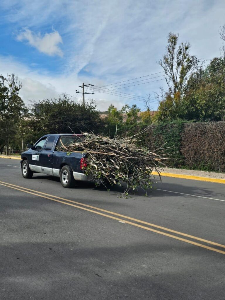 Gobierno Estatal Brind Apoyo Y Atendi Reportes Por R Fagas De Viento