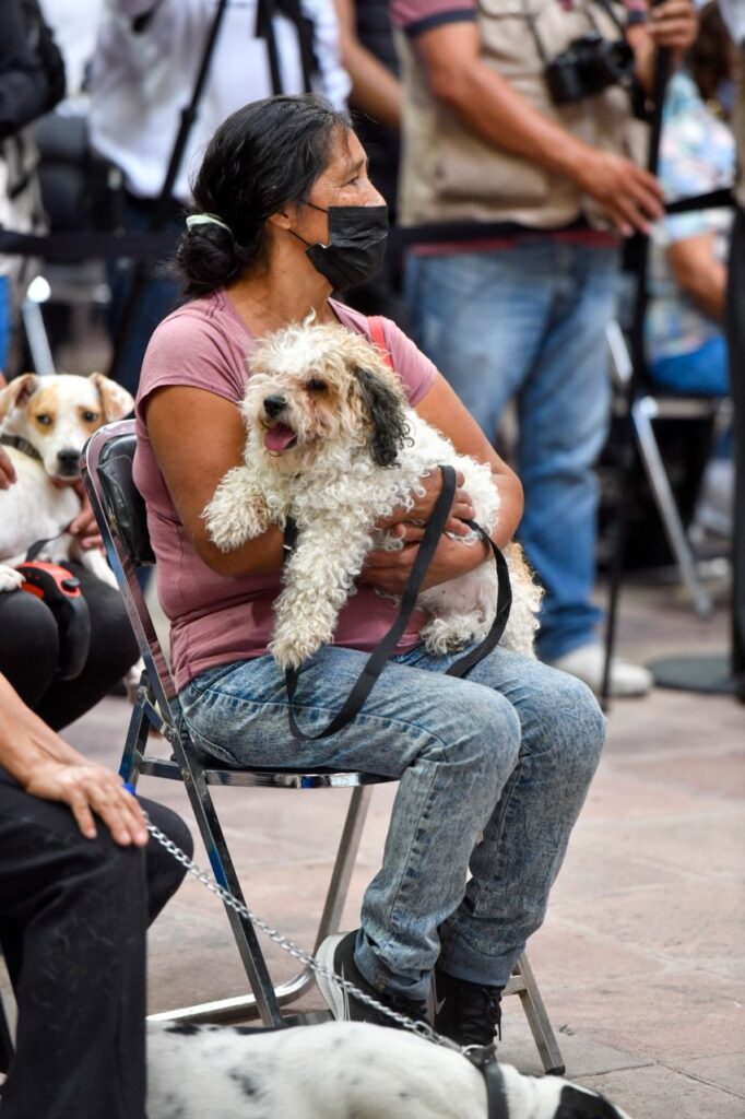 EN SLP SE DEFIENDE, PROMUEVE Y RESPETA LA DIGNIDAD ANIMAL: RICARDO ...