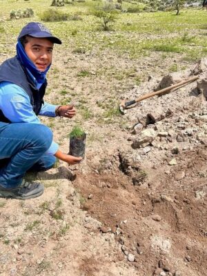 CON 1 MILLÓN DE PLANTAS, ESTADO REFORESTARÁ SIERRA DE SAN MIGUELITO