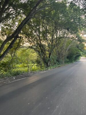 MOVILIDAD SIN LÍMITES EN LA HUASTECA